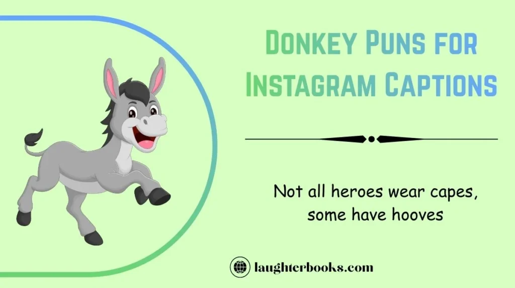 Donkey Puns for Instagram Captions