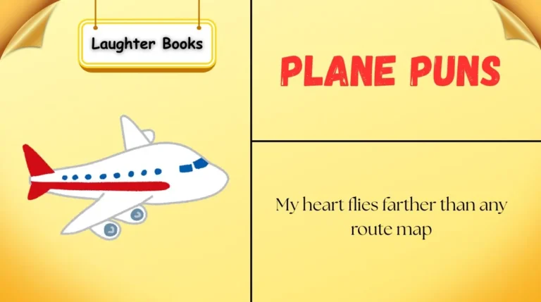 Plane Puns