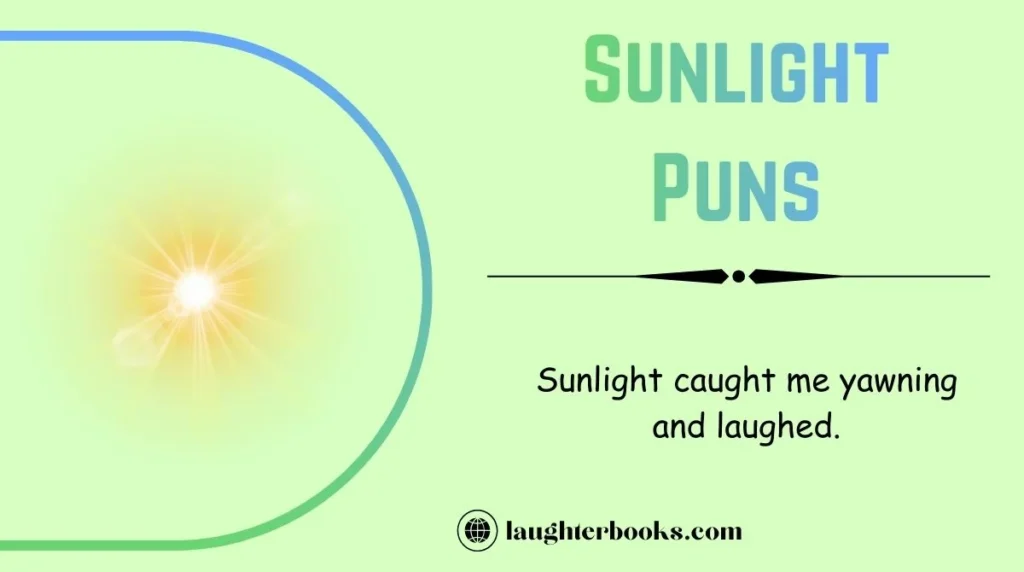 Sunlight Puns