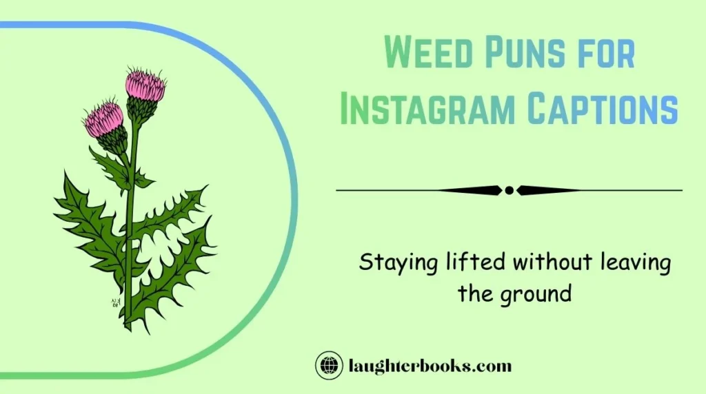 Weed Puns for Instagram Captions