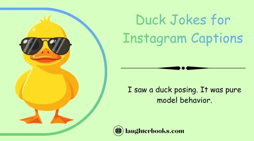 Duck Jokes for Instagram Captions