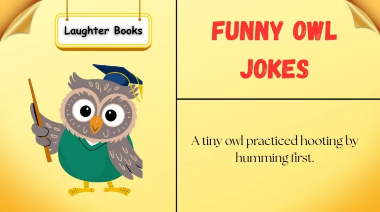 Funny Owl Jokes