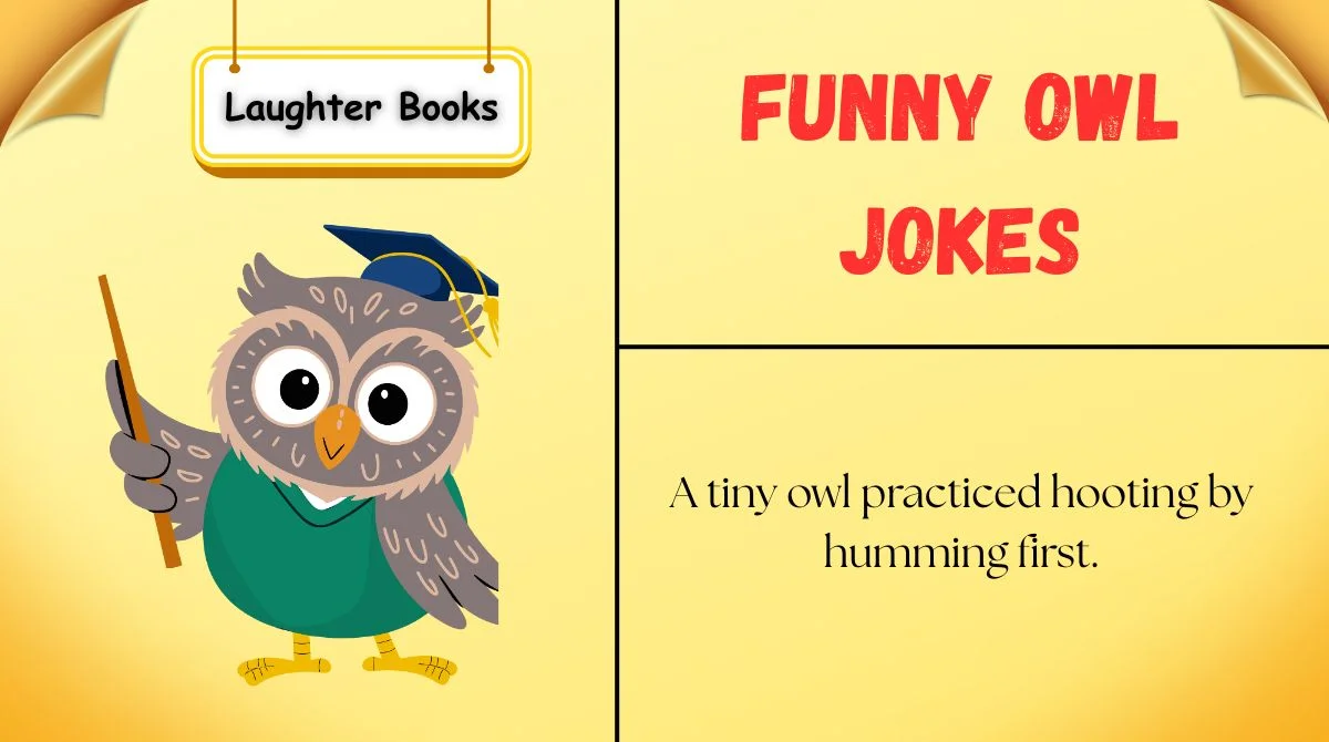 186+ Funny Owl Jokes That Will Make You Hoot Laughing(Updated 2k26) 🦉😂