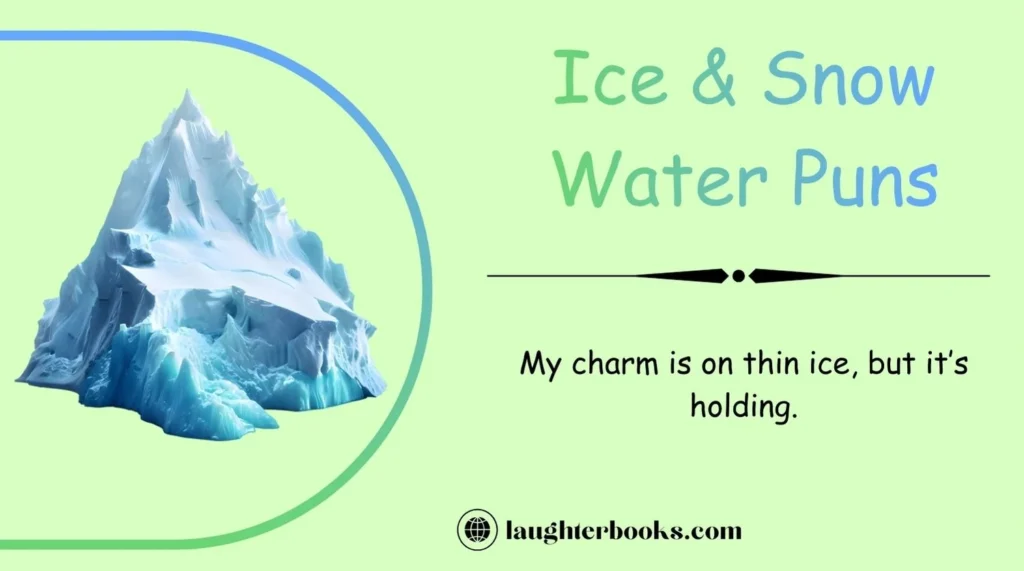 Ice & Snow Water Puns