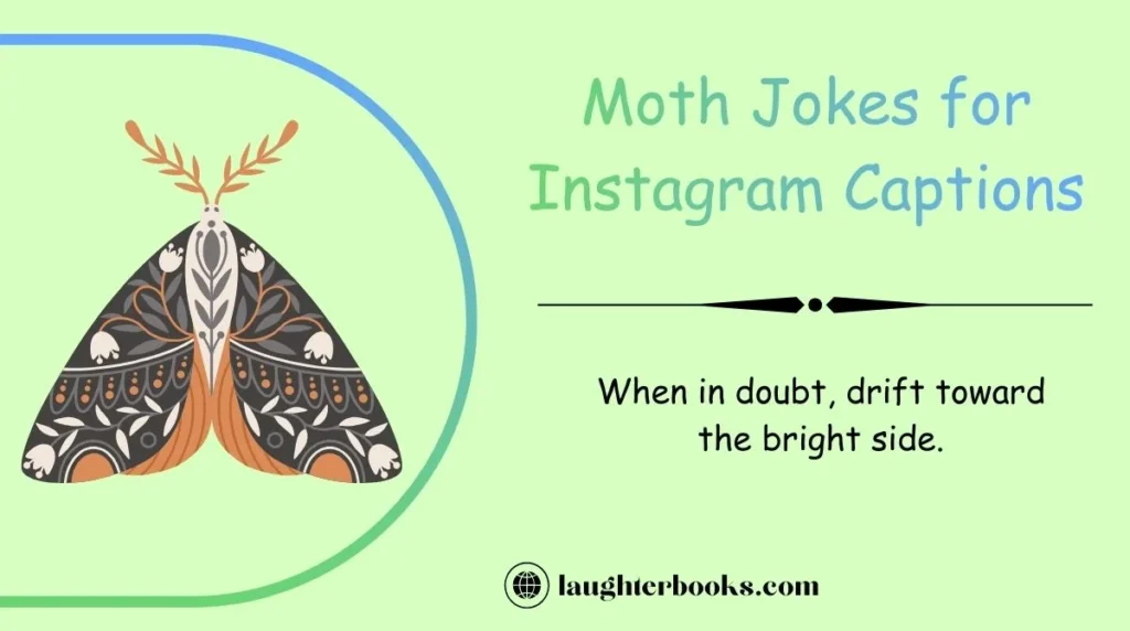 Moth Jokes for Instagram Captions