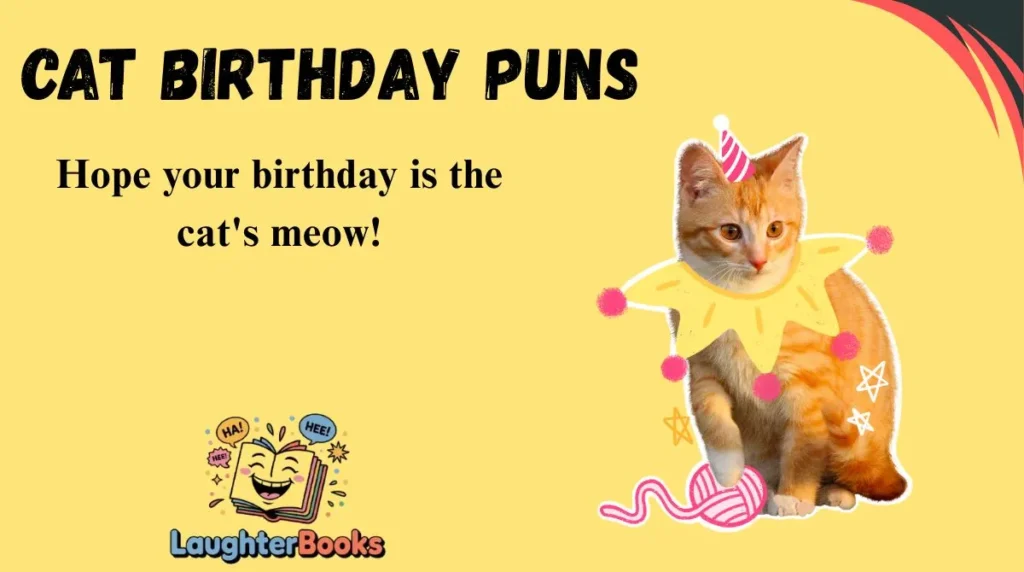Cat Birthday Puns