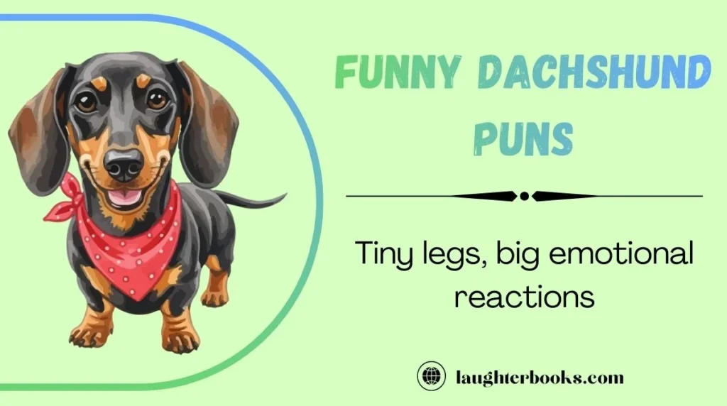 Funny Dachshund Puns