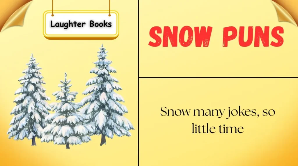 Snow Puns