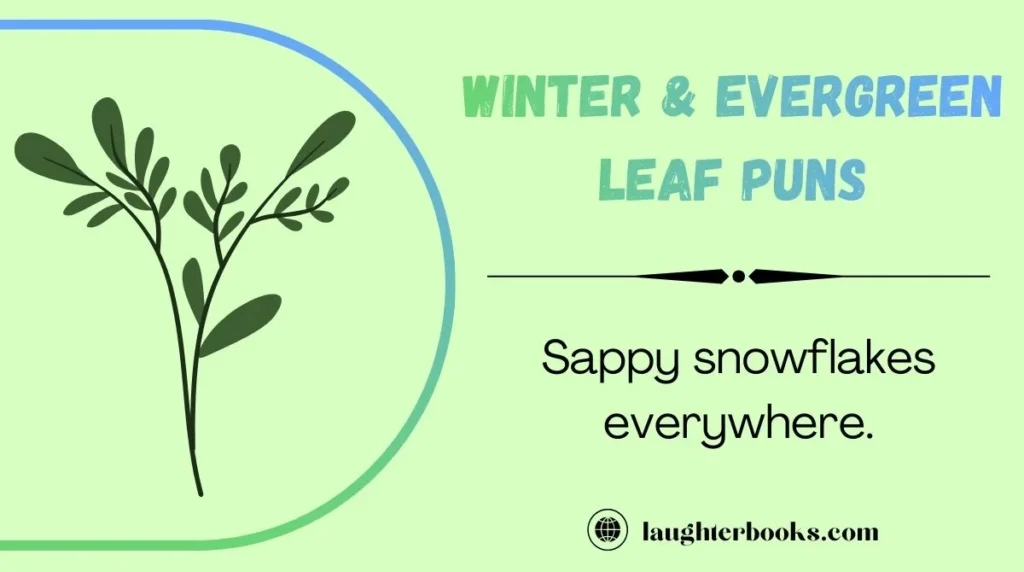Winter & Evergreen Leaf Puns